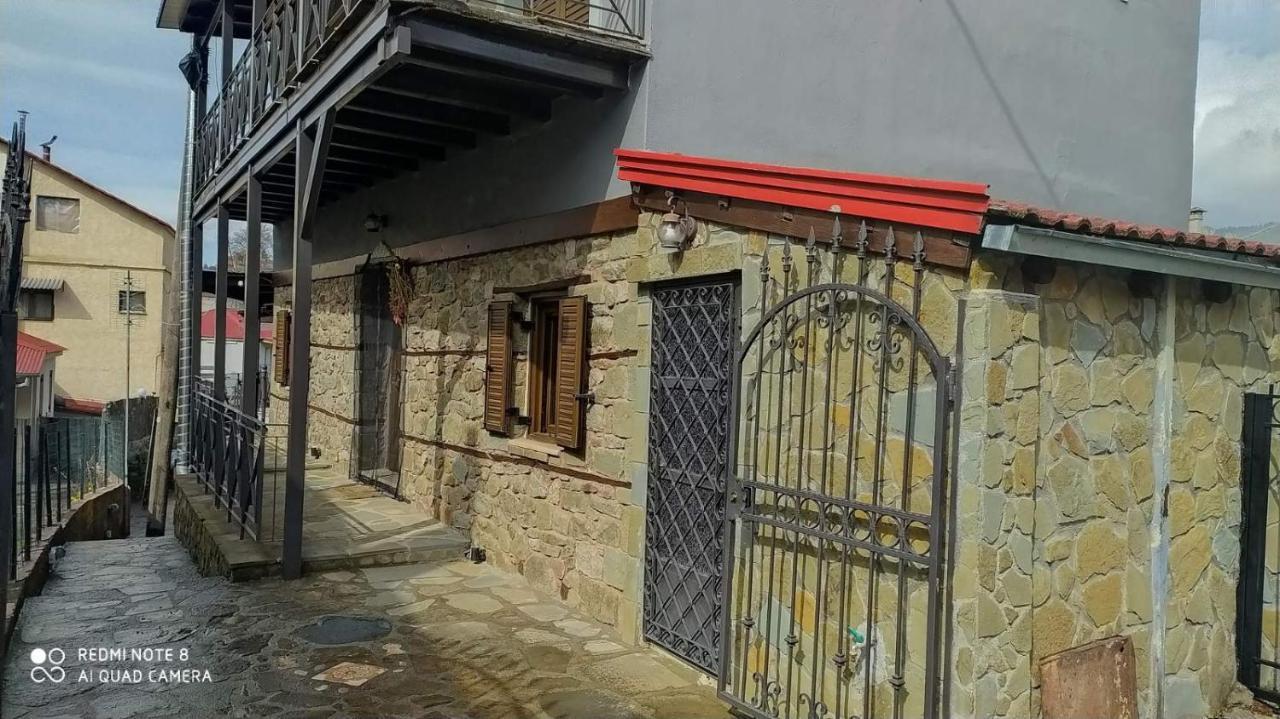 Elena'S Villa Chrysomiléa Exterior photo